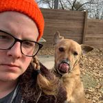 Andrew Bruce Bowman - @bruce_the_spruce - Instagram