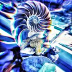 Bruce Bowman - @brucedroid777 - Instagram