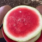 Bruce Bowman - @bruce.bowman.52643 - Instagram