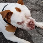 Bruce Boyle - @bobbyboyle72 - Instagram