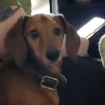 Jane Bruce Boyle - @celtlass23 - Instagram
