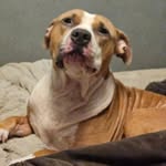 Bruce Brady - @brucebrady225 - Instagram