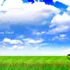 brucebrandt491 - @brucebrandt491 - TikTok