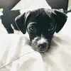 brucebrandt - @brucebrandt - TikTok