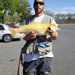bruce breisch - @bruciebb - Instagram
