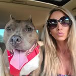 Britt & Bruce Rescue - @brittandbrucerescue - Instagram