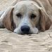 Bruce Britt - Facebook