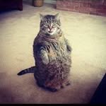 Bruce Brooks - @brucebrooks383 - Instagram