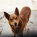Bruce Brooks - @bruceybrooks - Instagram