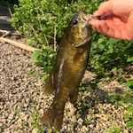 Bryce Brumbaugh - @brucecustombaits - Instagram