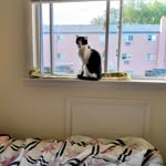 Bruce Brunner - @bruce.brunner.52 - Instagram