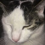 Bruce Buchanan - @brucebuchanan369 - Instagram
