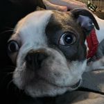 Bruce “Bucky” Buchanan - @bruce_buchanan_daboston - Instagram