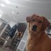 Bruce Burnett - Facebook