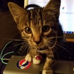 Bruce Burnett - @bruceburnett66 - Instagram