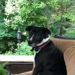 Bruce Burns - @bruceburns22 - Instagram