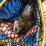 Bruce Buttrey - @brucebuttrey - Instagram