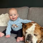 Brucey & Alfie - @brucebutts - Instagram