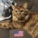 Bruce Byrd - @sikbyrd - Instagram