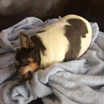 Bruce Cabell - @bruce.cabell.1 - Instagram
