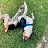 Bruce Cabral - @bruce.cabral - TikTok