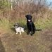 Bruce Cady - Facebook