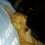 Bruce Cagle - @bruc_ecagle - Instagram