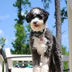Bruce Cairns - @brucescnc - Instagram