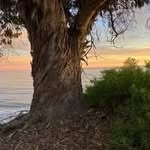 @brucecalkins - Instagram