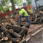 Bruce Callahan - @brucethetreeman - Instagram