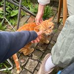 Bruce - @brucecampbe11 - Instagram