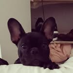 Bruce campos - @elbruce8 - Instagram