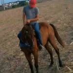 Bruce Candido - @bruce__candido17 - Instagram
