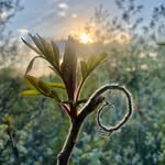 Bruce Cannon - @brucecannon.observer - Instagram