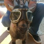 Bruce Cant - @brucecant - Instagram