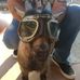 Bruce Cant - Facebook