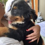 @bruc_ecao - Instagram