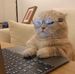 Bruce Cao - Facebook