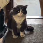 Bruce Cao - @bc.1927 - Instagram
