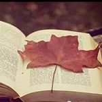 bruce cao - @bruce_cao999 - Instagram