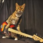 Bruce Capeless - @brucecapeless - Instagram