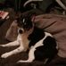 Bruce Caperelli - Facebook