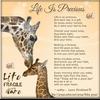 Bruce Perelli - @bruce.perelli - TikTok