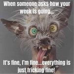 Bruce Carle - @carle_bruce - Instagram