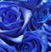 Bruce Carle - Facebook