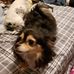 Bruce Carley - Facebook