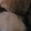 BruceCarmenfZlX - @brucecarmenfzlx - TikTok