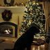 Bruce Carney - Facebook