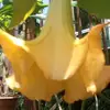 Bruce Carr - @bruce.carr - TikTok