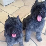 Bruce Cartwright - @bcartwright007 - Instagram